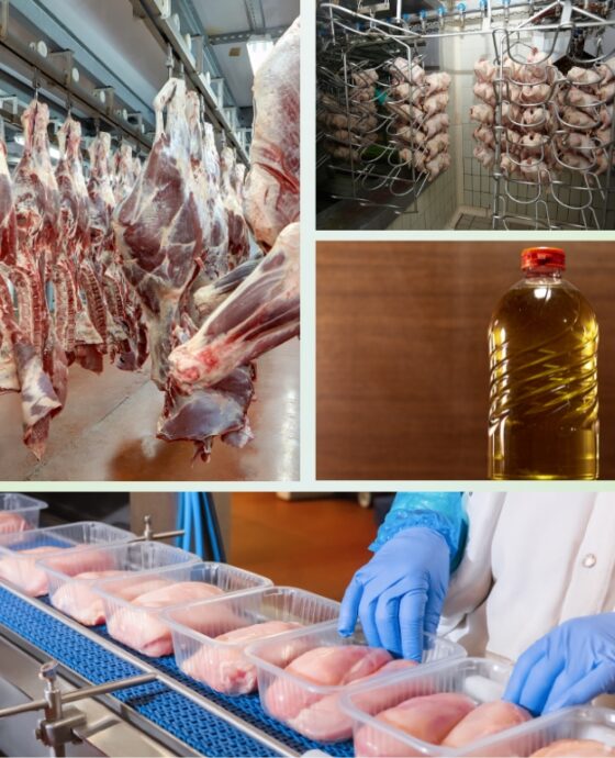 Industrie Agroalimentaire